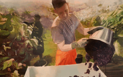 El Concurso Nacional de Pintura de Vinícola del Carmen ya tiene ganadores